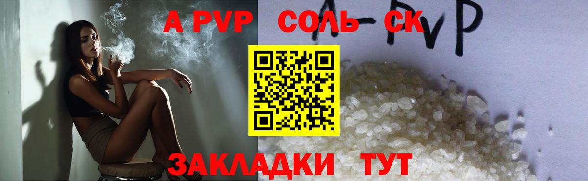 Альфа ПВП СК Великий Новгород