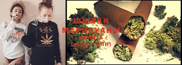 гидра Артём
